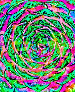 Succulent Dressed in Rainbow Colors 23