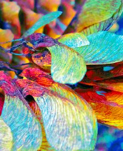 Nature in Rainbow Colors 04