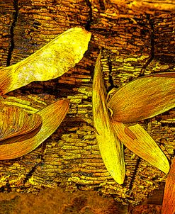 Nature in Yellow Tones 03