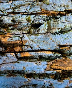 Restless Age 09