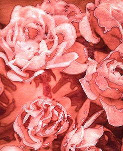 Roses in Coral Tones 01