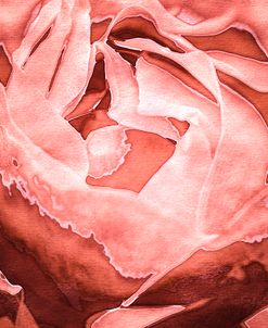 Roses in Coral Tones 02