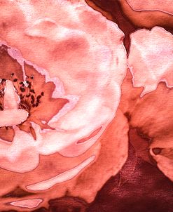 Roses in Coral Tones 04