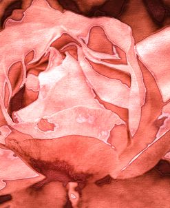 Roses in Coral Tones 39