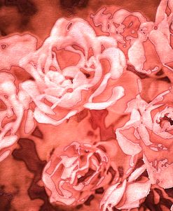 Roses in Coral Tones 44