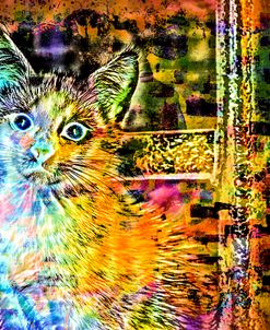 Transparent Kitten Pattern  02