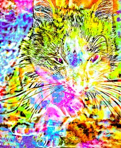 Transparent Kitten Pattern  03