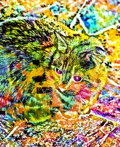 Transparent Kitten Pattern  04