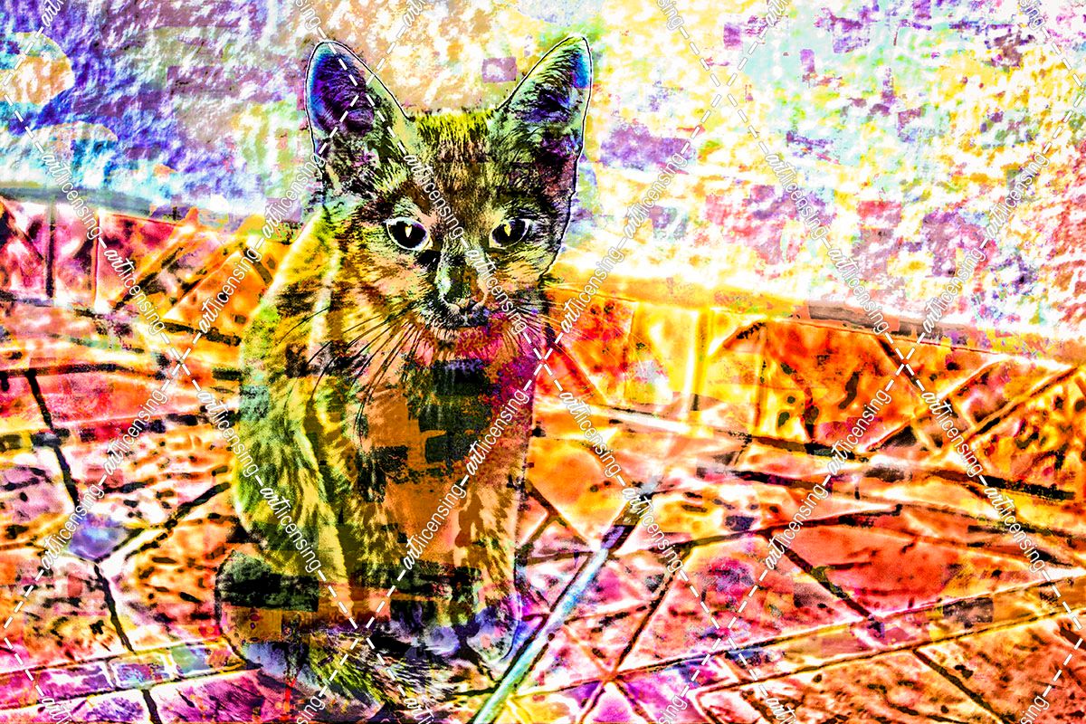 Transparent Kitten Pattern  31