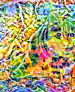 Transparent Kitten Pattern  42