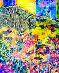 Transparent Kitten Pattern  37