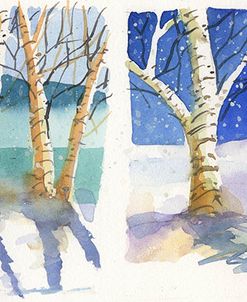 Birch  Quadtych