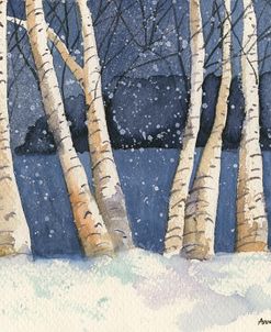 Birch, Snowy Night