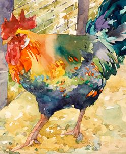 Colorful Rooster