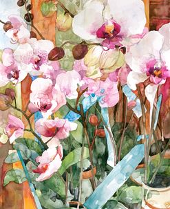 Orchid Dance