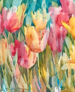 Pastel Tulips