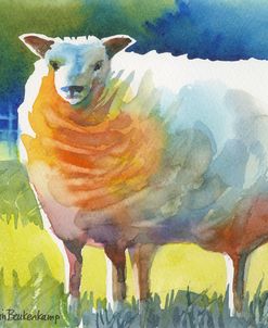 Sheep II