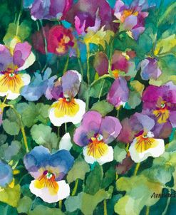 Pansies Primping