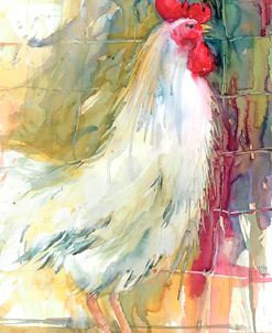 White Rooster