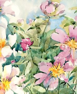 Palette Of Peonies