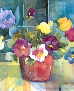 Potted Pansies