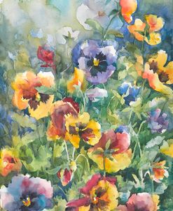 Picture Perfect Pansies