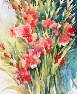 Gladiola Bunch