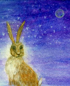 Hare And The Moon