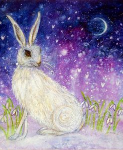 Winter Hare And The Moon