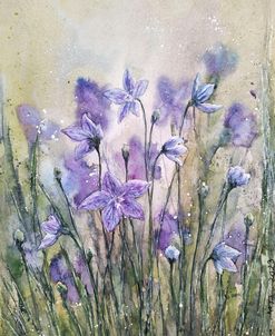 Bellflowers I