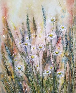 Chamomile I