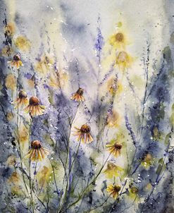 Coneflowers I