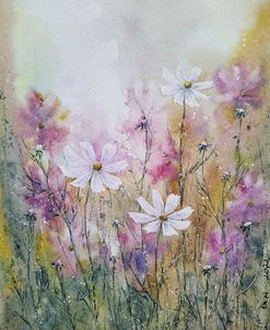Cosmos Flowers Iii