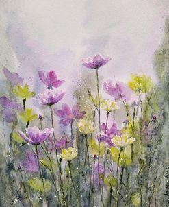 Cosmos Flowers Iv