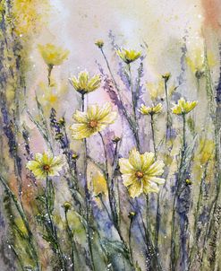Cosmos Flowers Vi