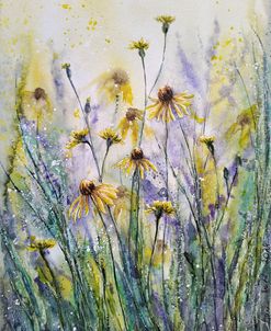 Coneflowers Yellow Ii