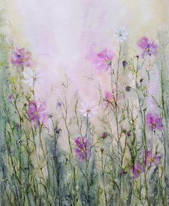 Cosmos Flowers I