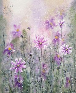 Cosmos Flowers Ii