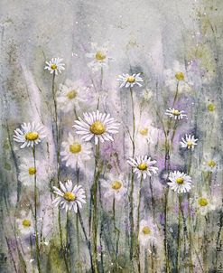 Marguerite Daisies I