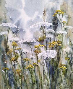 Meadow I