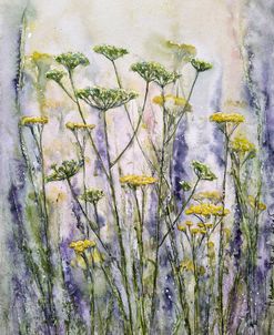 Meadow Ii