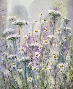 Meadow Iii
