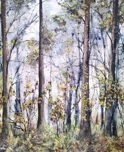 Forest Iii