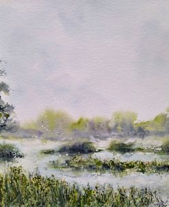 Landscape Spring I