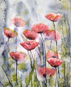 Poppy Flowers III