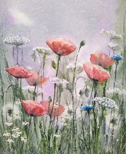 Poppy Flowers IV