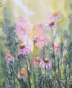 Purple Coneflowers II