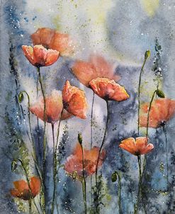 Poppy Flowers I