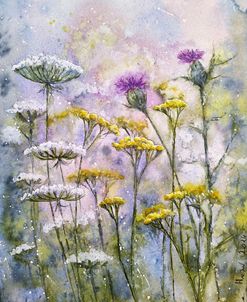 Wildflowers IV