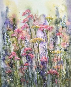 Yarrow Summer Berries I